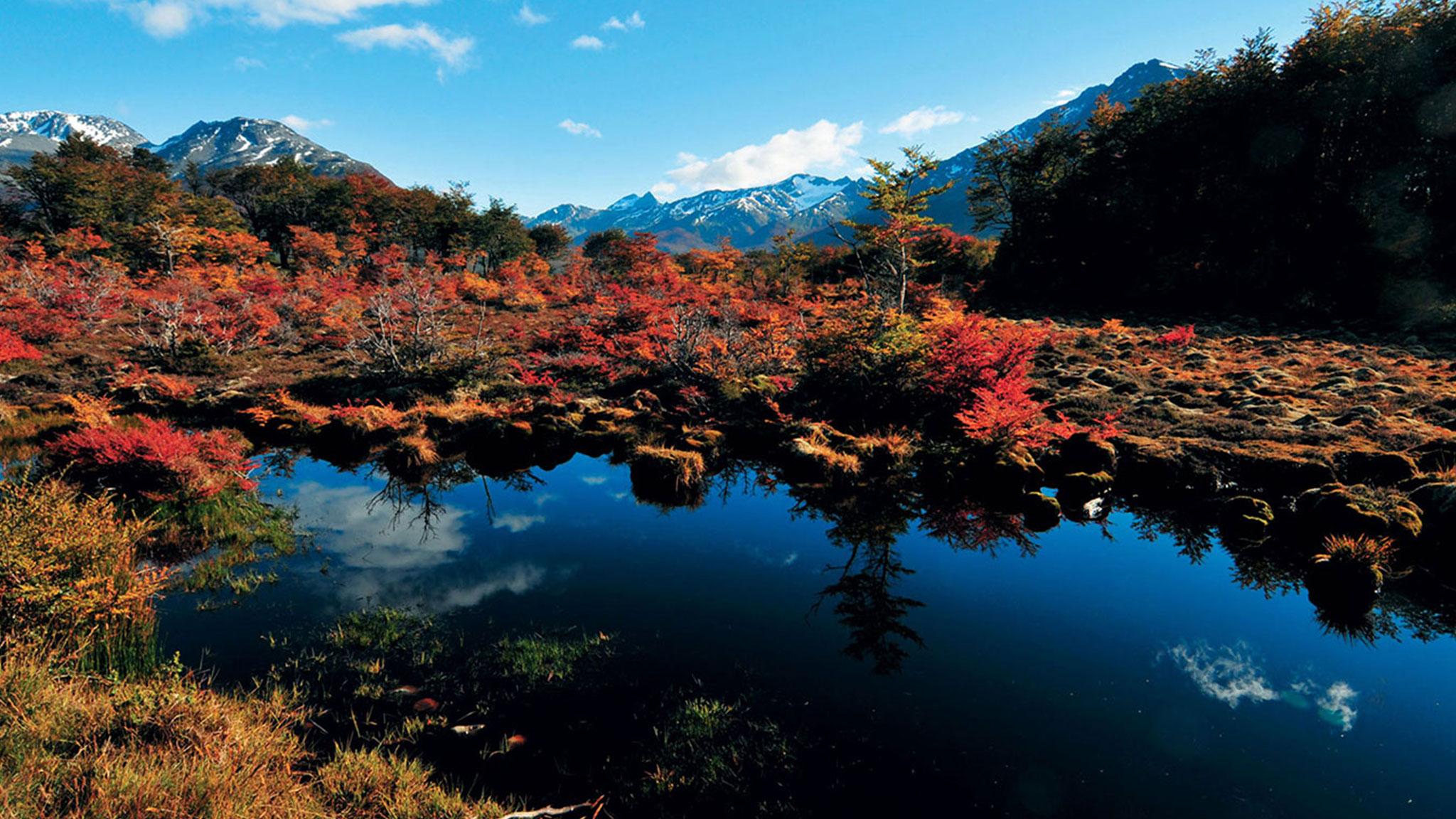 Arakur Ushuaia Resort & Spa Extérieur photo Autumn colours at the Ozegahara